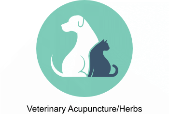Veterinary Acupuncture/Herbs